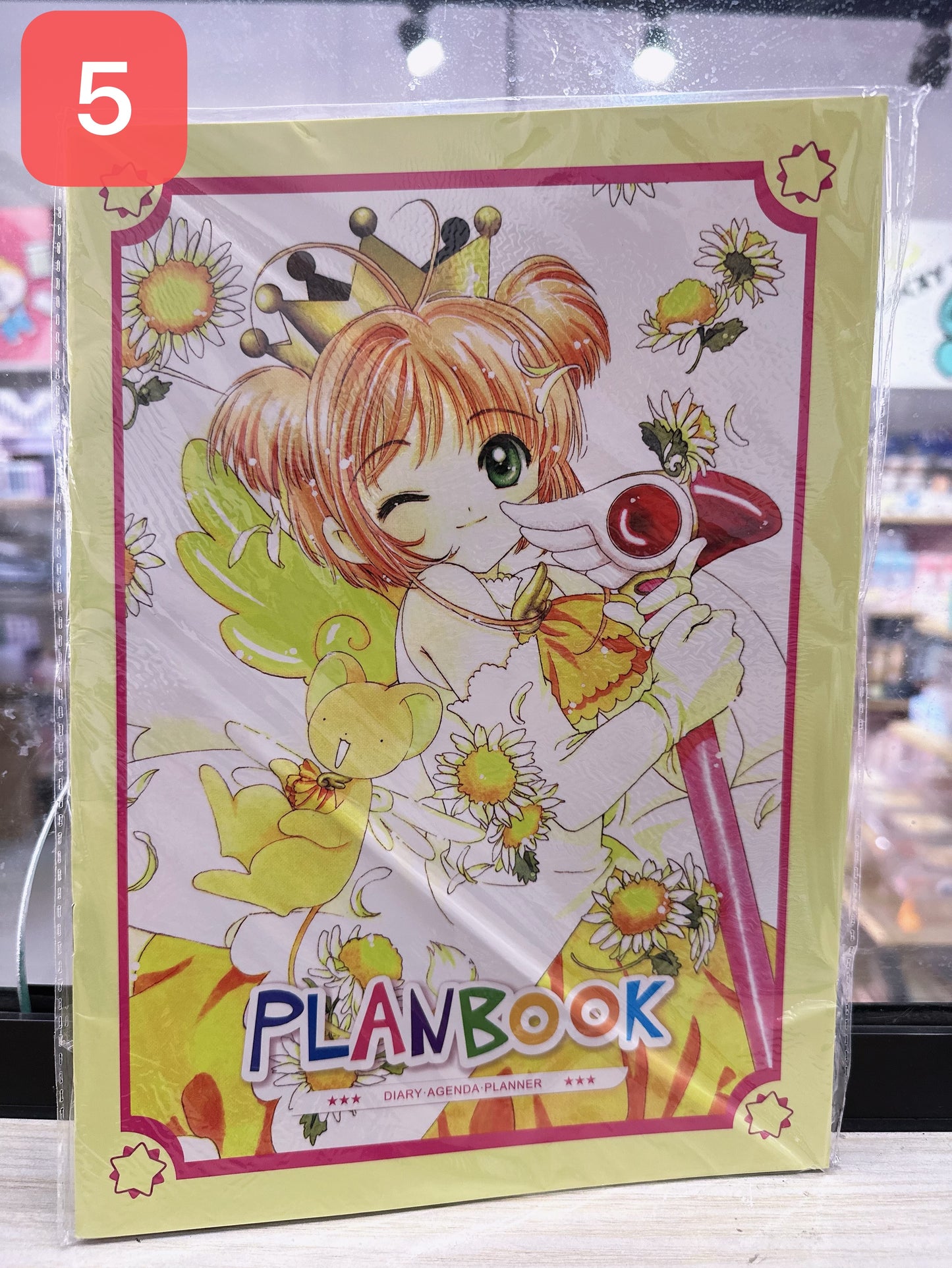 LIQUIDACIÓN Plan book