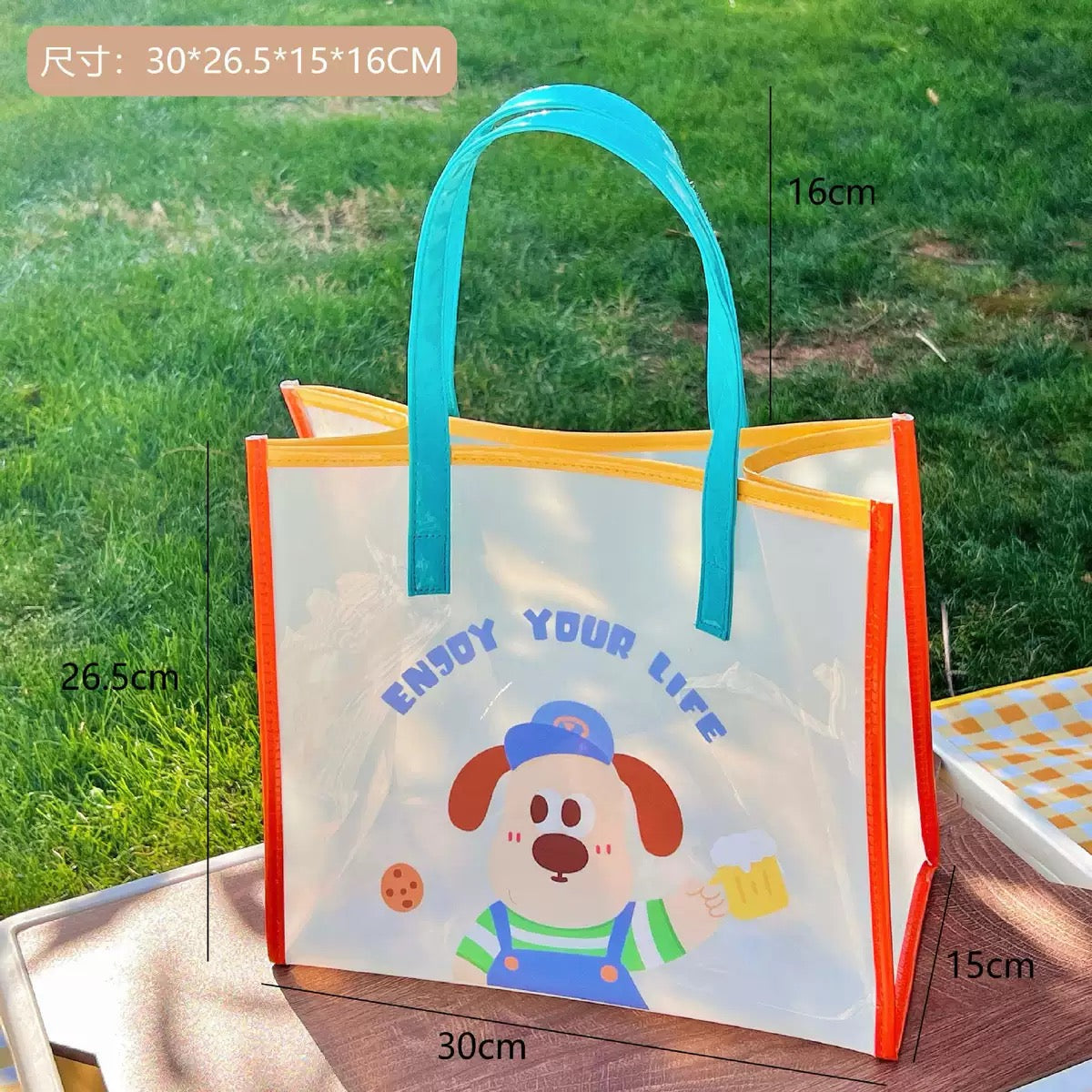 Bolsas de playa plástico transparente de PVC (ty-29-34)