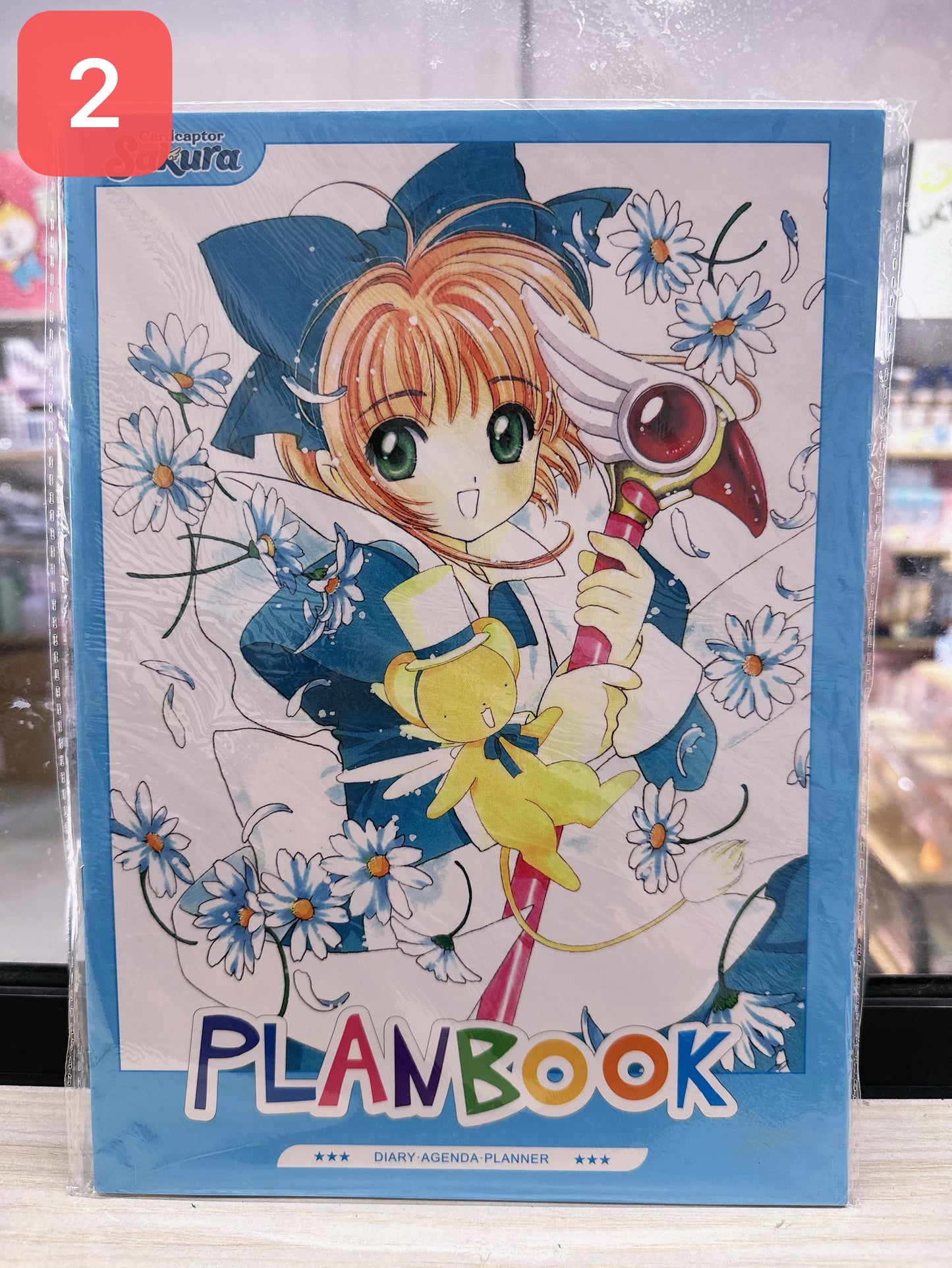 LIQUIDACIÓN Plan book