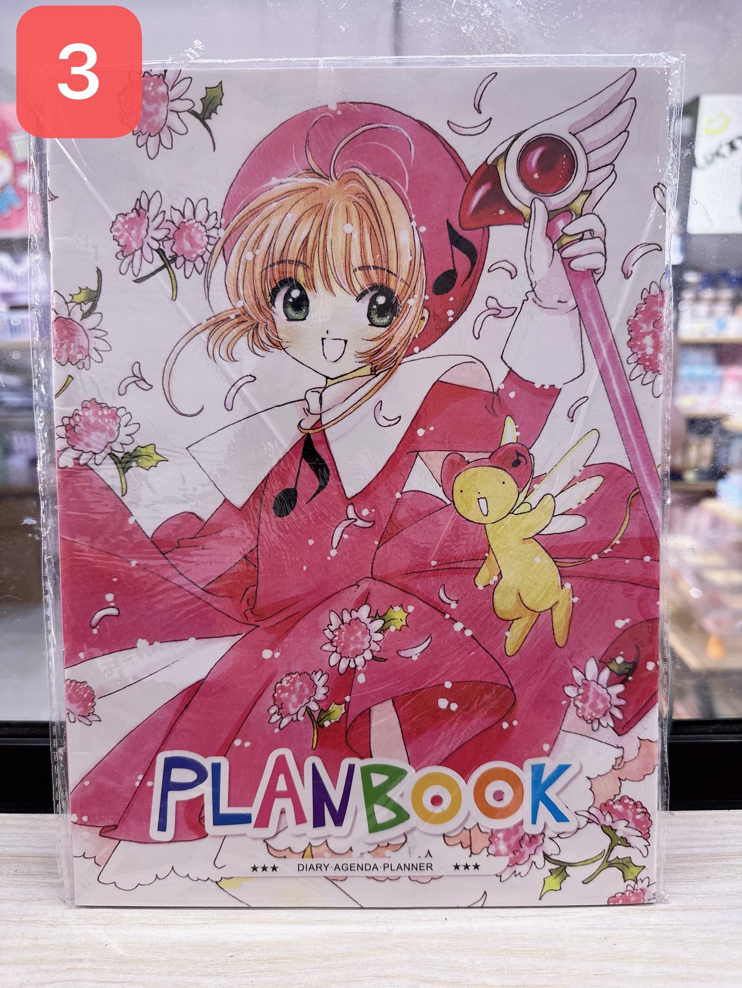 LIQUIDACIÓN Plan book