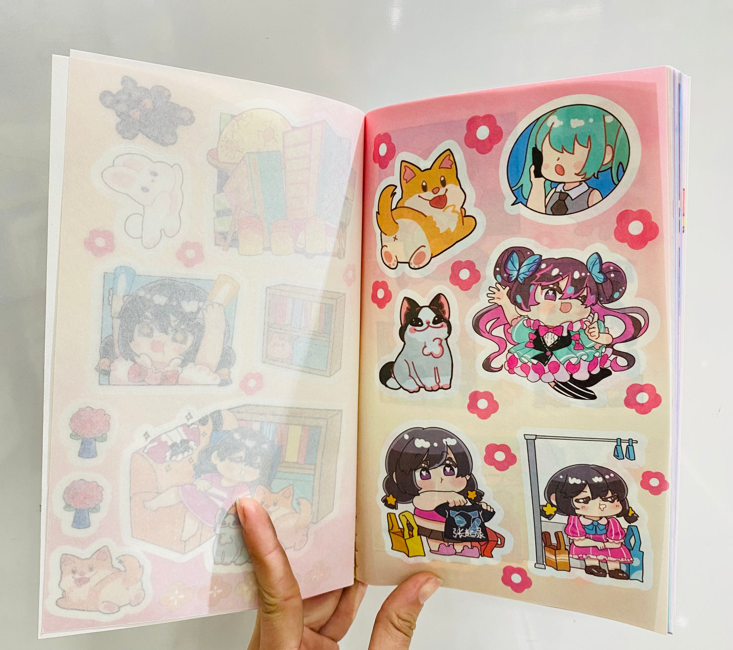 Libro de stikers