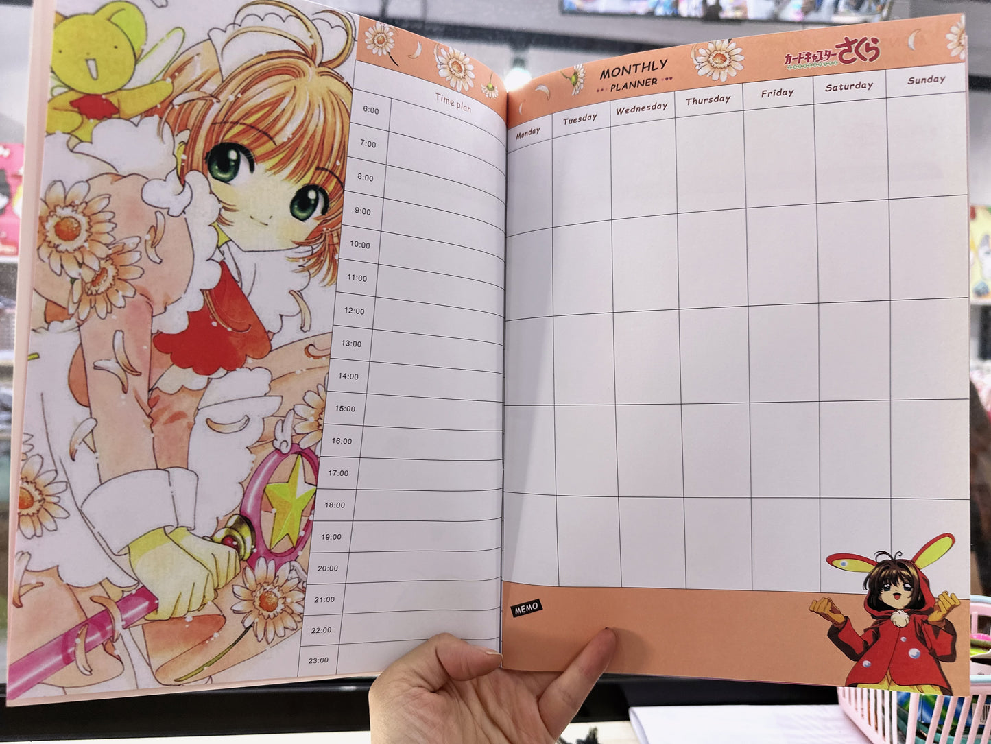 LIQUIDACIÓN Plan book